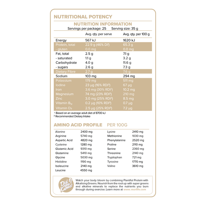 Morlife Plantiful Protein Vanilla Fudge