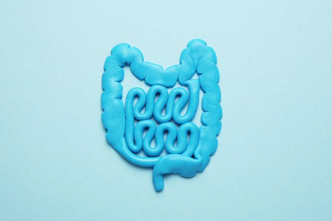 Be Your Own Gut Guru: Everything You Need To Know About Gut Health