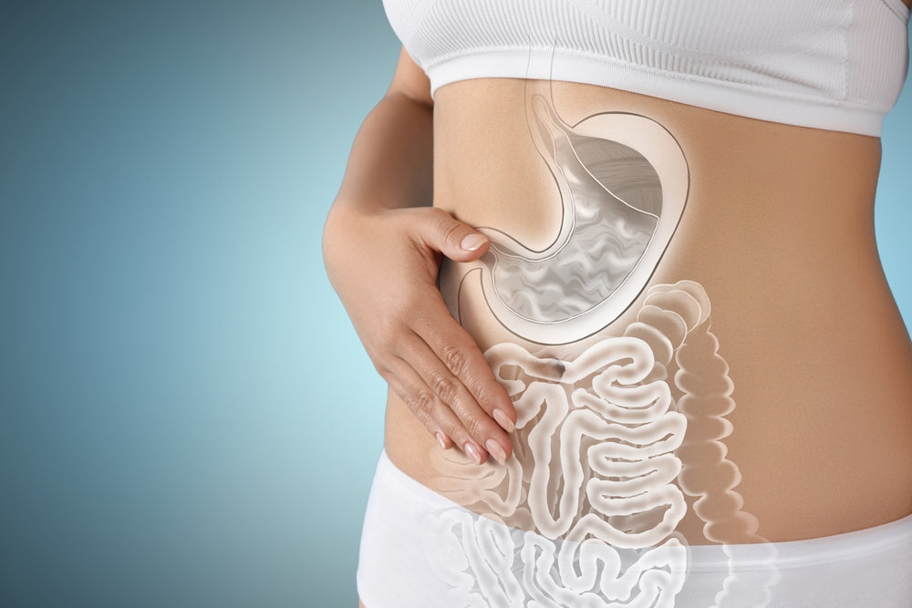 The Ins And Outs of Your Gut