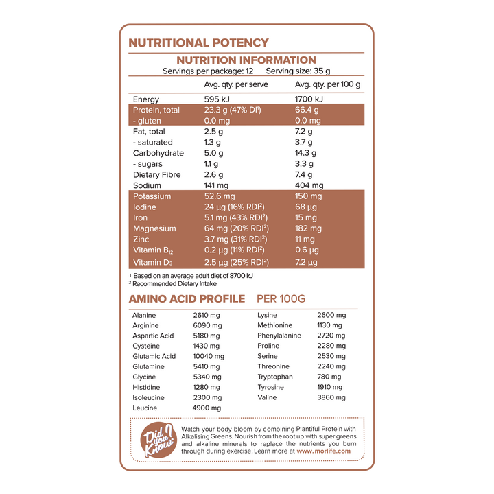 Morlife Plantiful Protein Caramelised Biscuit NIP