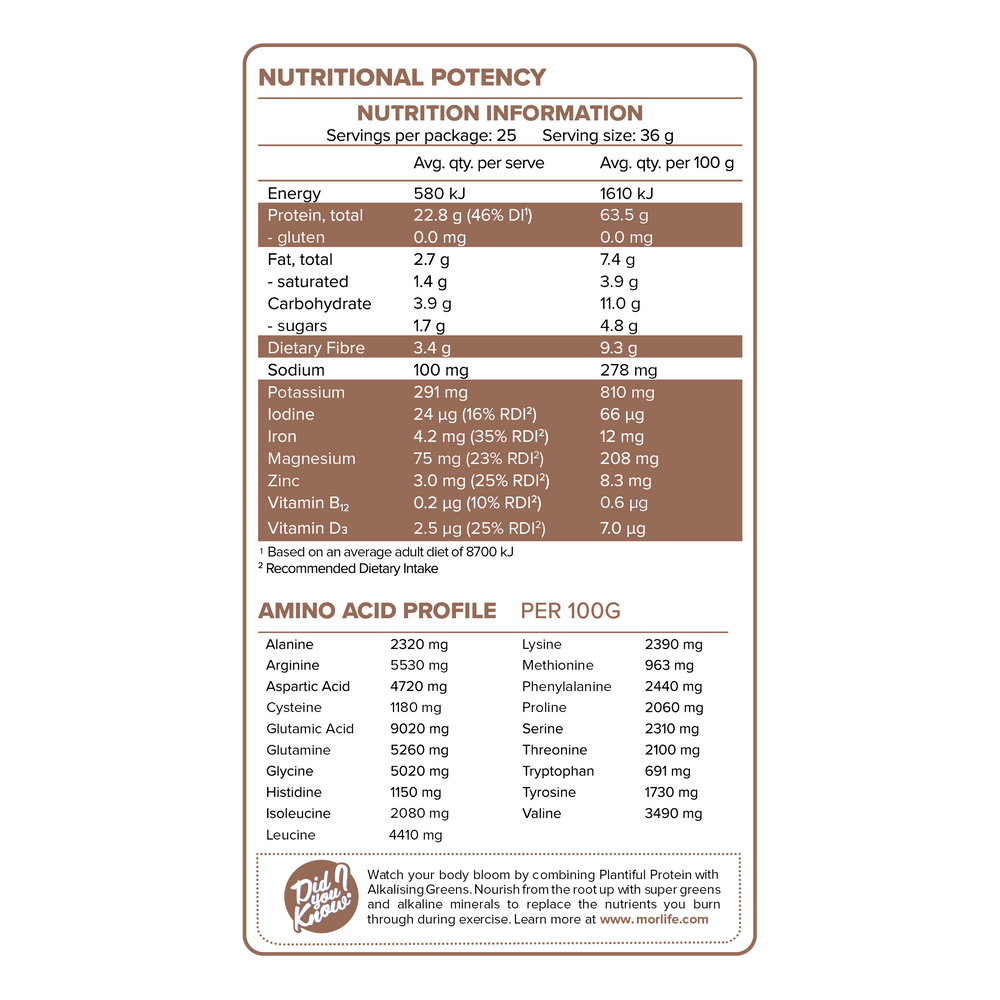 Morlife Plantiful Protein Chocolate Fudge NIP