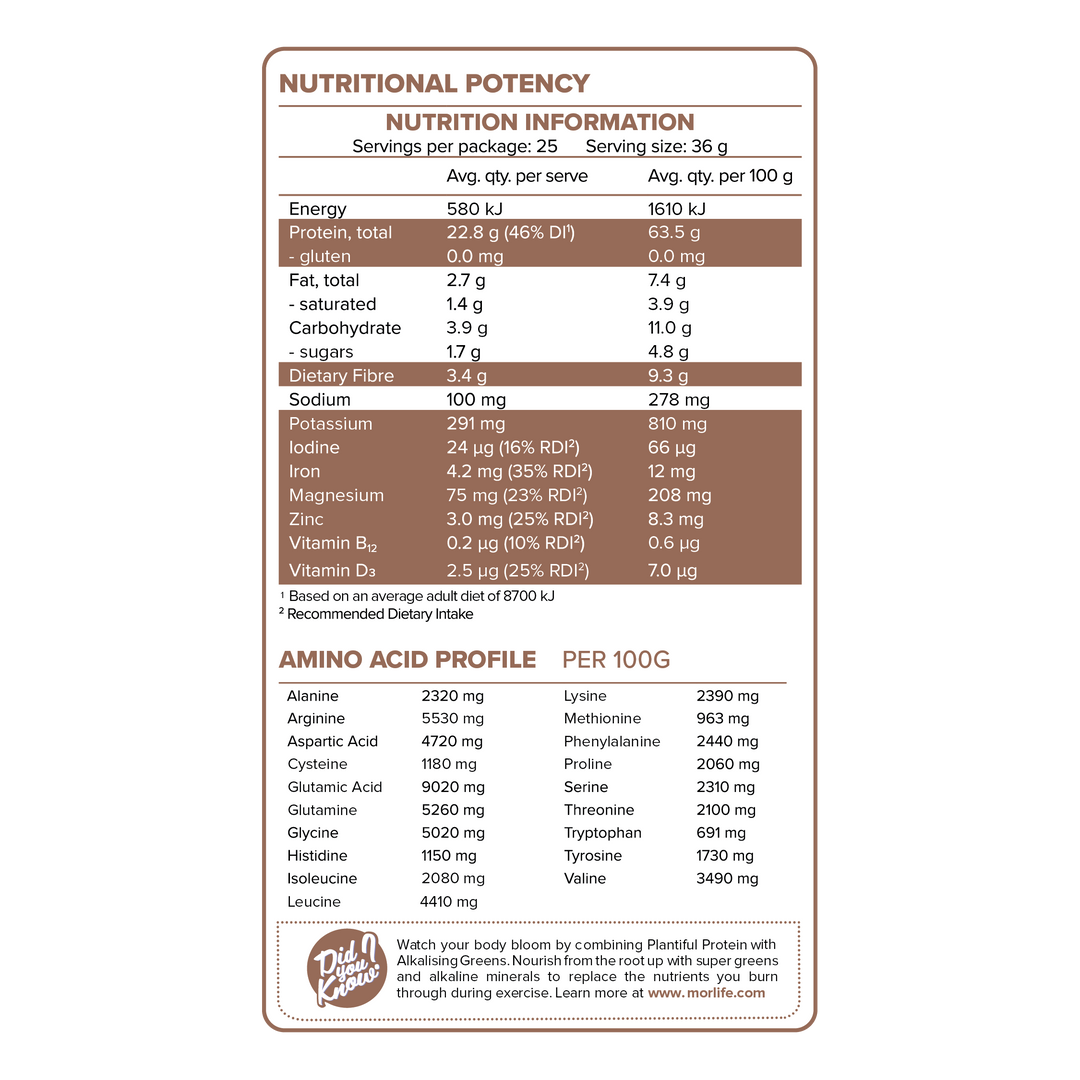 Morlife Plantiful Protein Chocolate Fudge NIP