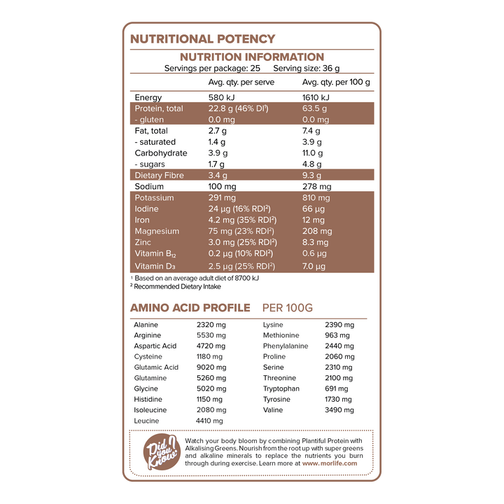 Morlife Plantiful Protein Chocolate Fudge NIP
