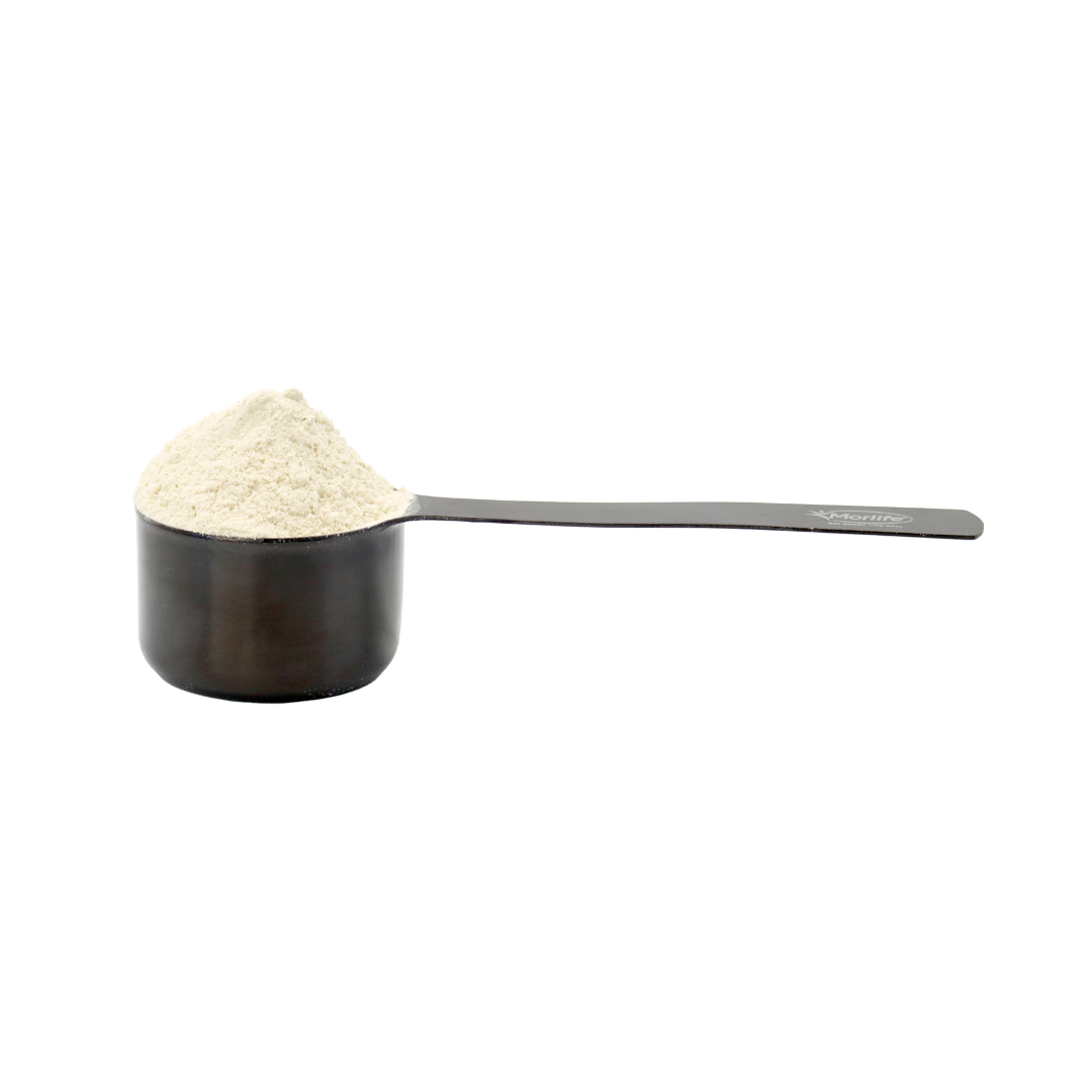 Morlife Protein Scoop