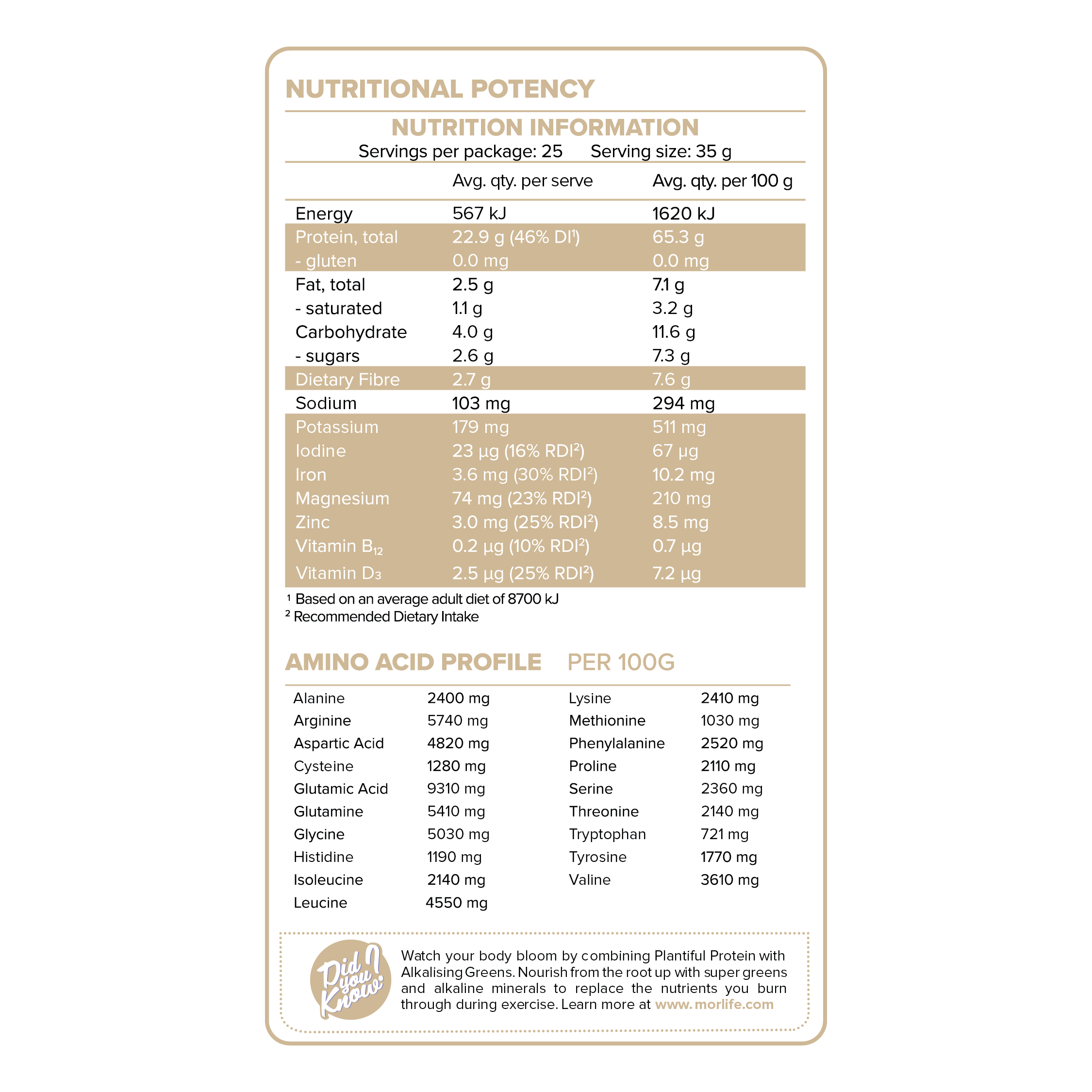Morlife Plantiful Protein Vanilla Fudge