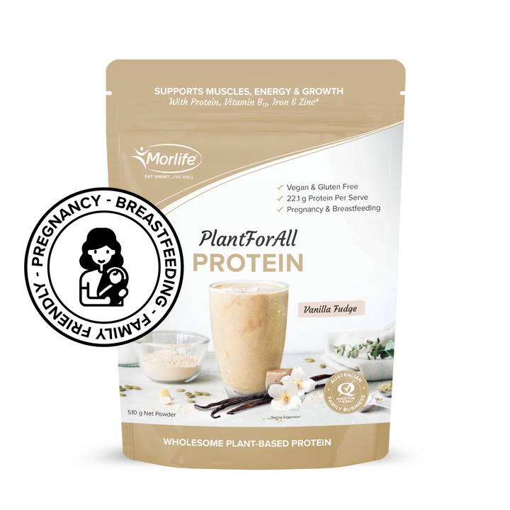 PlantForAll Protein Vanilla Fudge